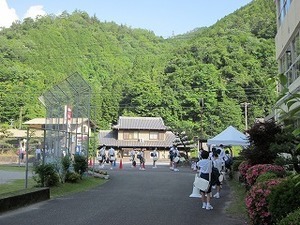 IMG_3379.jpg