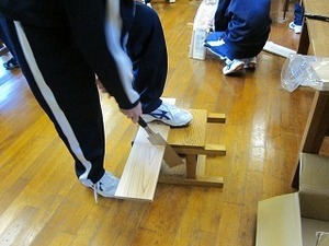IMG_3681.jpg